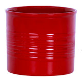 Narcissus - Paperwhite - Kit - with Ceramic Red Ribbed Planter