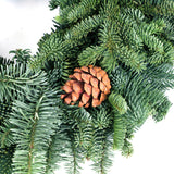 Live - Fresh Cut - Northwest Noble Fir Wreath with Pinecones - 16"