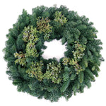 Live - Fresh Cut - Northwest Juniper Wreath - 20"