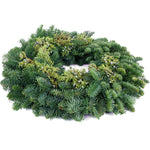 Live - Fresh Cut - Northwest Juniper Wreath - 20"
