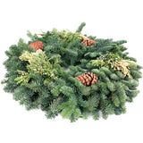 Live - Fresh Cut - Northwest Mixed Wreath - 20" - with Pinecones