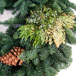 Live - Fresh Cut - Northwest Mixed Wreath - 20" - with Pinecones