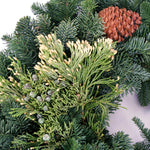 Live - Fresh Cut - Northwest Mixed Wreath - 20" - with Pinecones