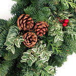 Live - Fresh Cut - Northwest Cinnamon Spice Wreath - 24"