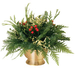 Live - Fresh Cut - Northwest Festive Holly Centerpiece