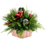 Live - Fresh Cut - Northwest Happy Holidays Gift Box Centerpiece