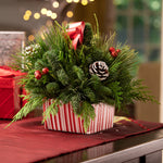 Live - Fresh Cut - Northwest Happy Holidays Gift Box Centerpiece