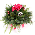 Live - Fresh Cut - Northwest Happy Holidays Gift Box Centerpiece
