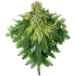 Live - Fresh Cut - Northwest Evergreen Mixed Holiday Arrangement Bunch