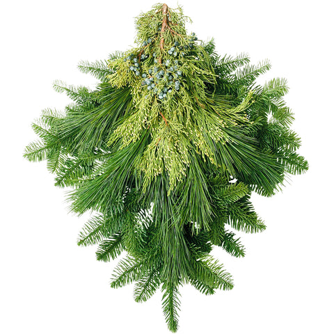 Live - Fresh Cut - Northwest Evergreen Mixed Holiday Arrangement Bunch