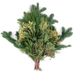 Live - Fresh Cut - Northwest Evergreen Mixed Holiday Arrangement Bunch