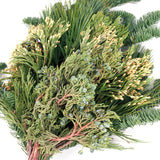 Live - Fresh Cut - Northwest Evergreen Mixed Holiday Arrangement Bunch