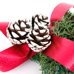 Live - Fresh Cut - Northwest Festive Evergreen Noble Fir Door Greeter