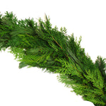 Live - Fresh Cut - Northwest Princess Pine and Cedar Mix Coil Garland