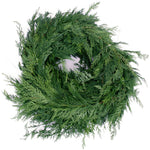 Live - Fresh Cut - Northwest Cedar Coil Garland