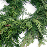 Live - Fresh Cut - Northwest Cedar Coil Garland