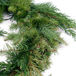 Live - Fresh Cut - Northwest Douglas and Cedar Mix Coil Garland