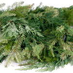Live - Fresh Cut - Northwest Douglas and Cedar Mix Coil Garland