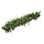 Live - Fresh Cut - Northwest Deluxe Special Event Garland Mix Coil Runner