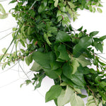 Live - Fresh Cut - Northwest Deluxe Special Event Garland Mix Coil Runner