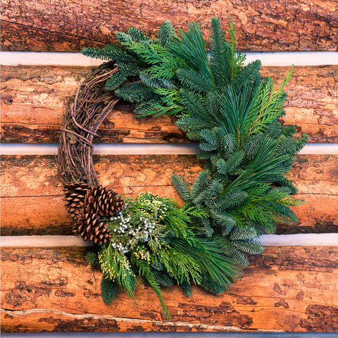 Live - Fresh Cut - Northwest Grapevine and Greens Wreath - 20"