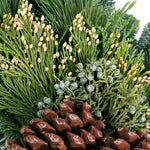 Live - Fresh Cut - Northwest Grapevine and Greens Wreath - 20"