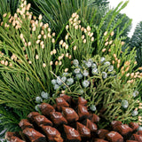 Live - Fresh Cut - Northwest Grapevine and Greens Wreath - 20"
