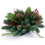 Live - Fresh Cut - Northwest Classic Berry Merry Centerpiece