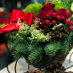 Live Fresh Cut Pacific Northwest Holiday Sleigh Centerpiece
