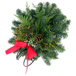 Live Fresh Cut Pacific Northwest Holiday Sleigh Centerpiece