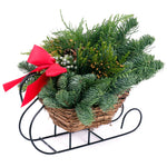 Live Fresh Cut Pacific Northwest Holiday Sleigh Centerpiece
