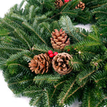 Live - Fresh Cut - Blue Ridge Mountain Fraser Fir Wreath - 24" - with Pinecones and Berries