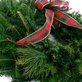Live - Fresh Cut - Blue Ridge Mountain Mixed Window Wreath - 16" - with Bow