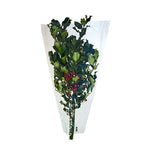 Live - Fresh Cut - Northwest Evergreen Mixed Holly Bouquet