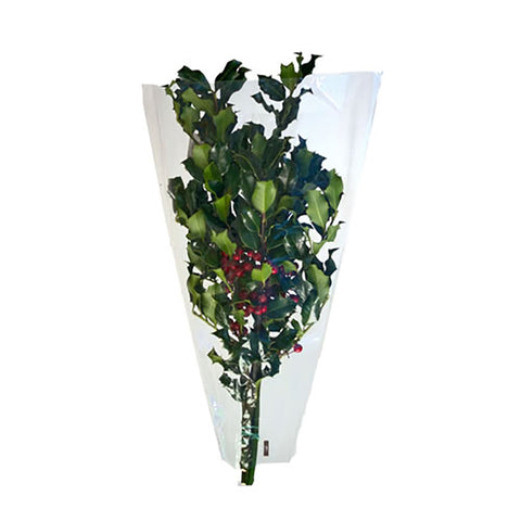Live - Fresh Cut - Northwest Evergreen Mixed Holly Bouquet