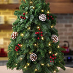 Live - Fresh Cut - Northwest Christmas Tree Centerpiece - with Lights