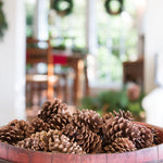 Live - Fresh Cut - Northwest Assorted Pinecones