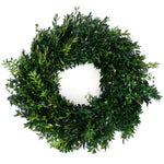 Live - Fresh Cut - Blue Ridge Mountain Boxwood Wreath - 22"