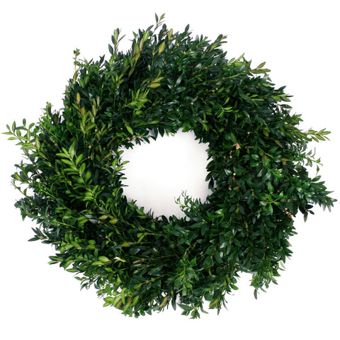 Live - Fresh Cut - Blue Ridge Mountain Boxwood Wreath - 22"