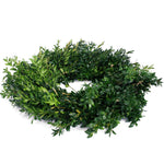Live - Fresh Cut - Blue Ridge Mountain Boxwood Wreath - 22"