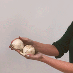 Allium - Blend - for Collectors