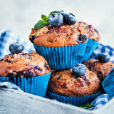 Blueberry - Patch Collection - GMO Free