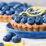Blueberry - Patch Collection - GMO Free