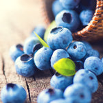 Blueberry - Bluecrop - GMO Free