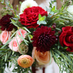 Dahlia - Black Jack