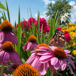 Butterfly Magnet Collection
