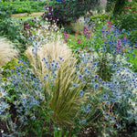 Gardening for Birds & Butterflies - Collection