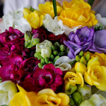 Freesia - Double Blooming Mix