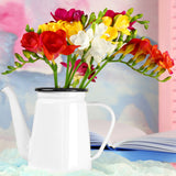 Freesia - Double Blooming Mixed Colors