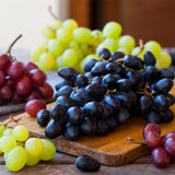 Grape - Thomcord Seedless - GMO Free